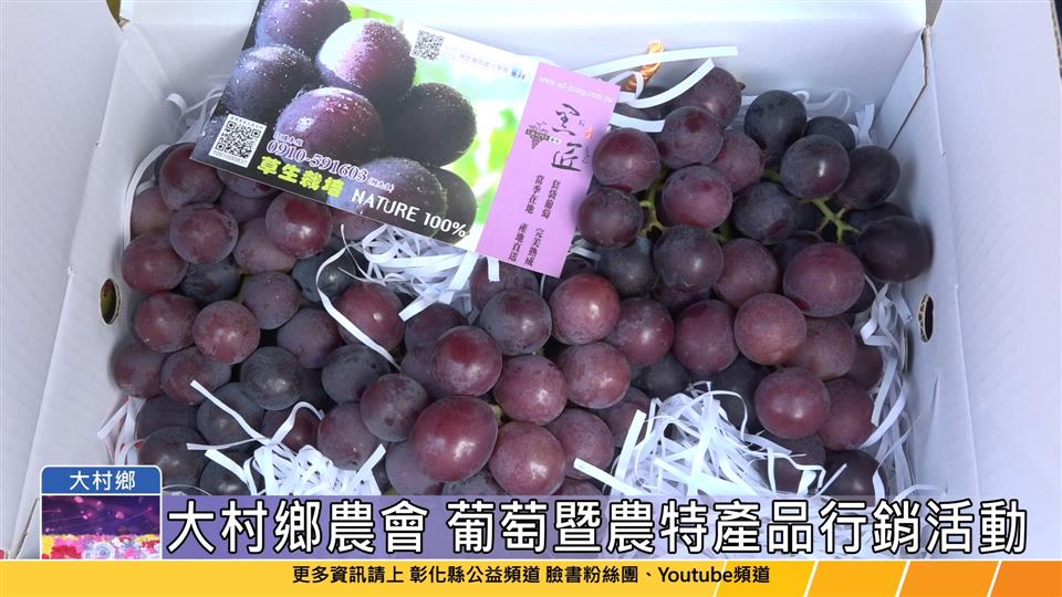 112-06-18 來彰化吃葡萄正著時 大村鄉推廣葡萄及農特產品